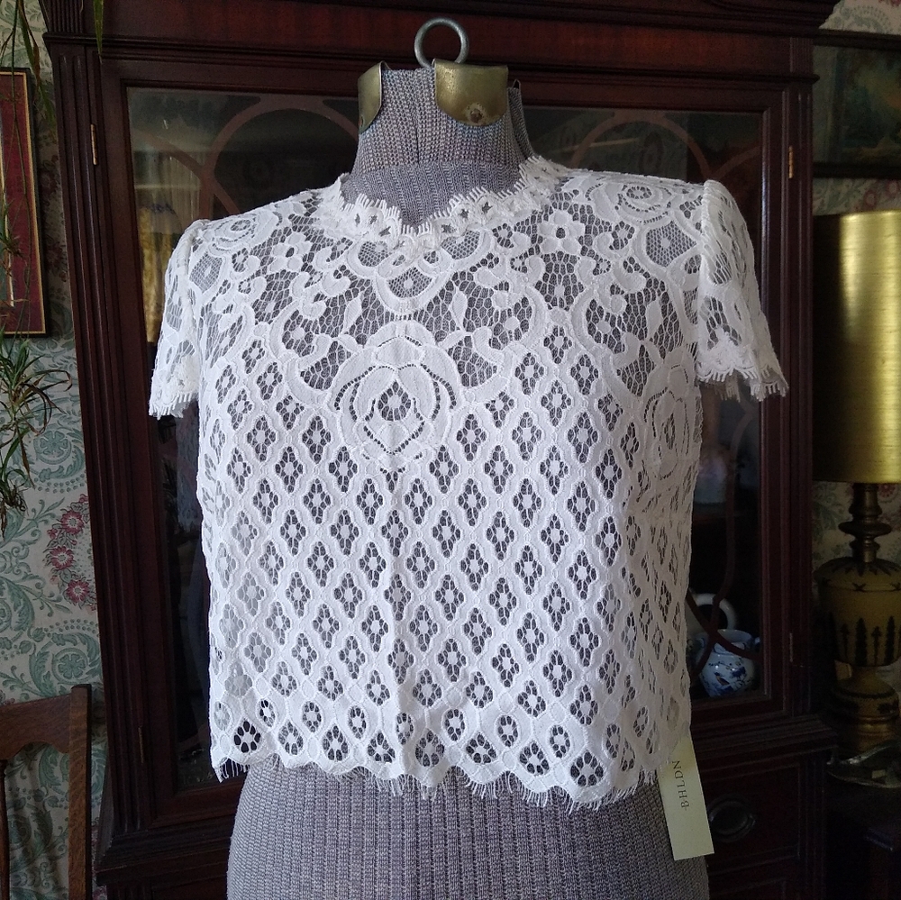 TADASHI SHOJI See-Through White Lace Crop Top